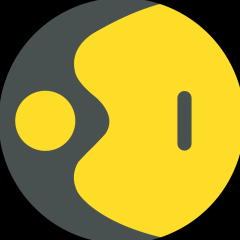 WION - Icon